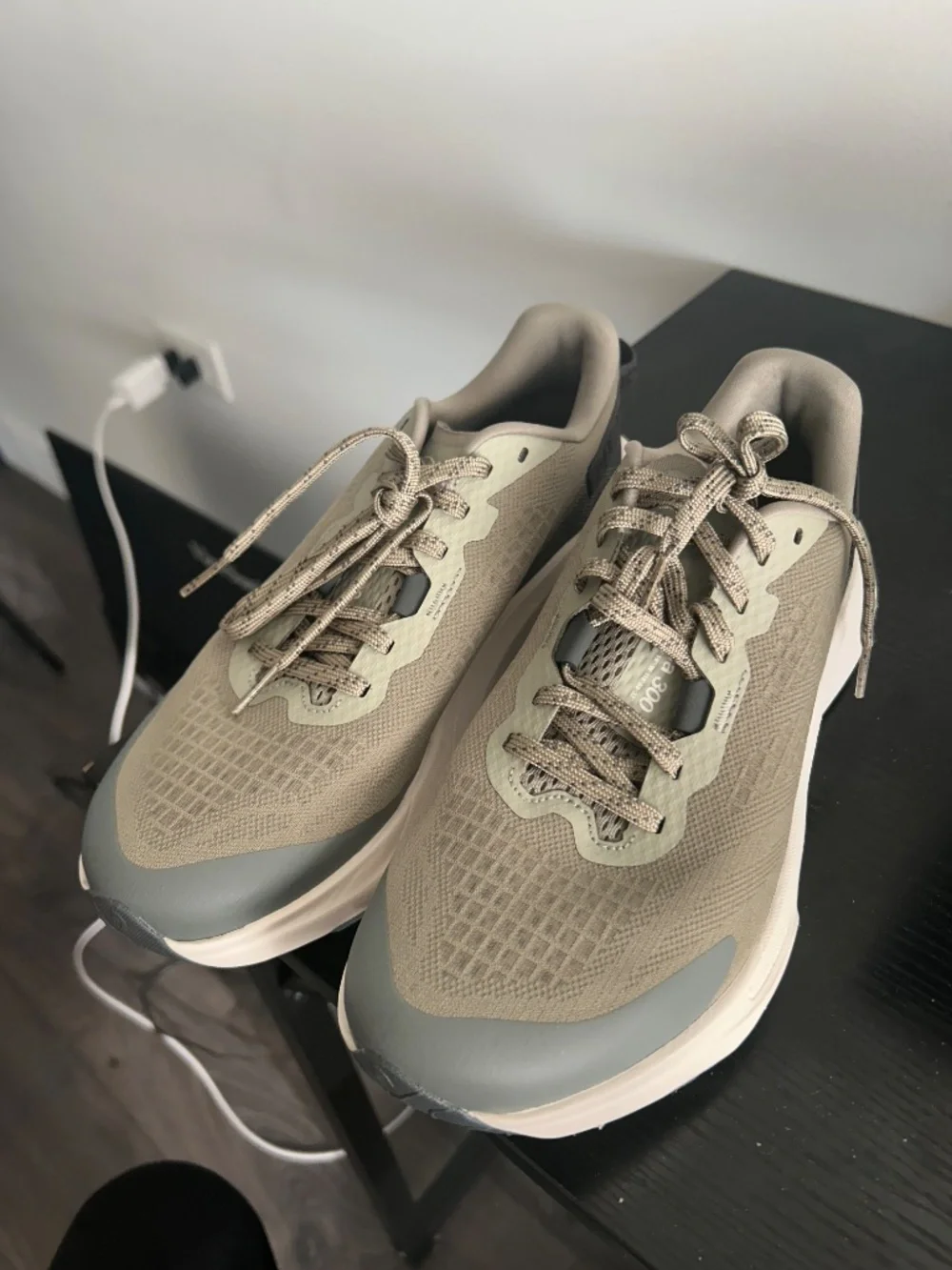 Northface Altamesa 300 Trail Running Shoes